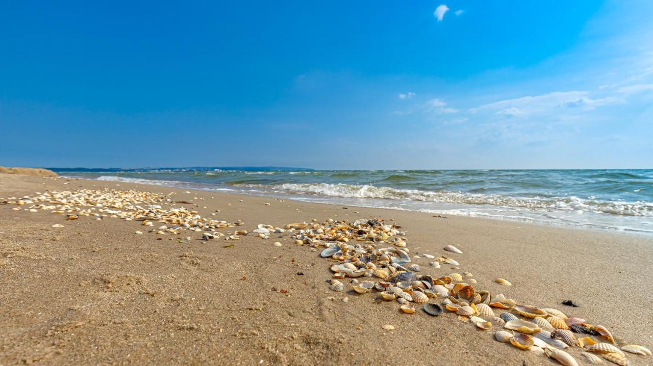 빈츠 Strandurlaub Ruegen "Luett Matten" 아파트 외부 사진